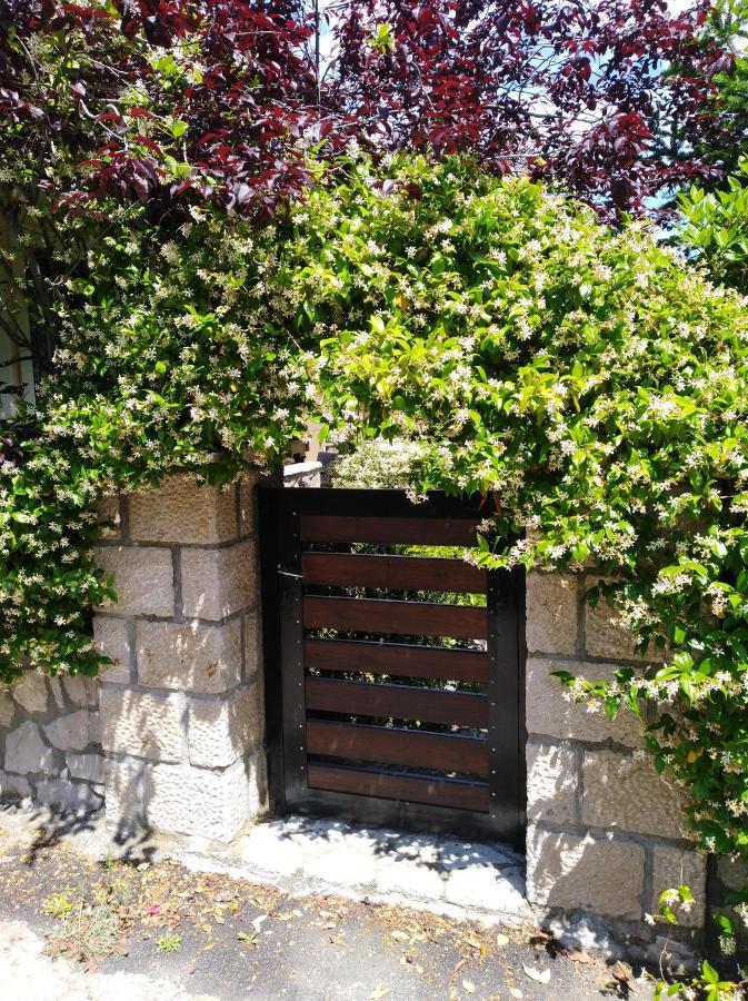 Dryas Guesthouse Polydrossos Dış mekan fotoğraf